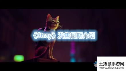 《Stray》发售日期介绍