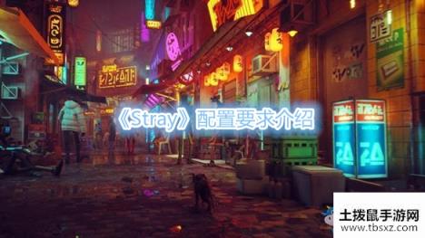 《Stray》配置要求介绍