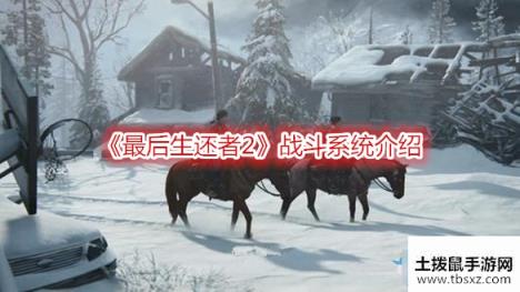 最后生还者2战斗系统介绍-最后生还者2战斗的机制是什么