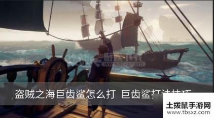 盗贼之海巨齿鲨怎么打 巨齿鲨打法技巧