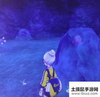 《宝可梦：剑/盾》铠岛斗志洞窟海地鼠位置介绍