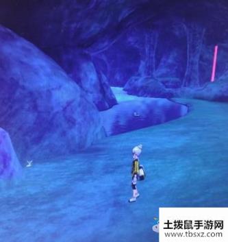《宝可梦：剑/盾》铠岛斗志洞窟海地鼠位置介绍