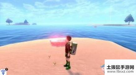 《宝可梦：剑/盾》铠岛离岛海域地鼠位置介绍