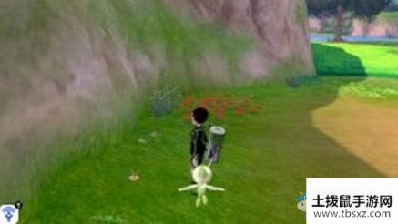 《宝可梦：剑/盾》铠岛锻炼平原地鼠位置介绍