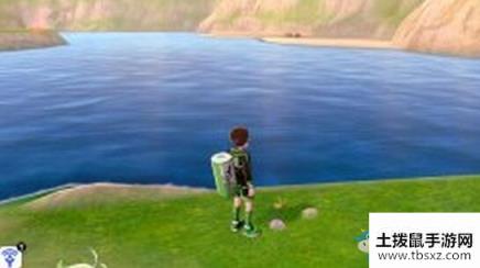 《宝可梦：剑/盾》铠岛圆环海湾地鼠位置介绍