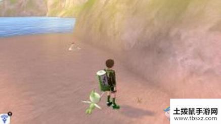 《宝可梦：剑/盾》铠岛圆环海湾地鼠位置介绍