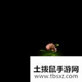 《梦幻西游》2020年端午节张灯结彩拓金铺活动介绍