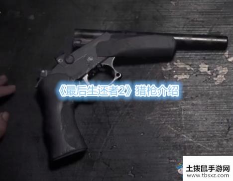 《最后生还者2》猎枪介绍