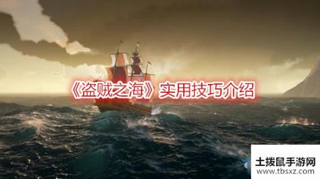 盗贼之海实用技巧有哪些-盗贼之海实用技巧介绍