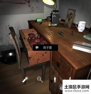 《孙美琪疑案：刘青春》4级线索孢子蘑
