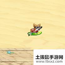 DNF夏日套宠物介绍