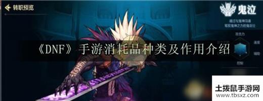 《DNF》手游消耗品种类及作用介绍