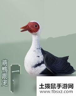 剑网3萌鸭跟宠一甲获得方法