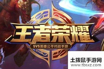 王者荣耀干扰一起开会怎么样 干扰的作用