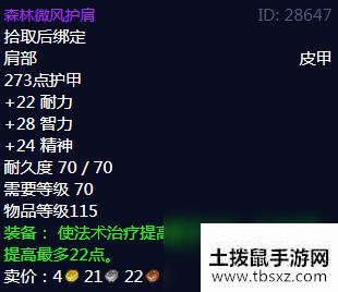 《魔兽世界》森林微风护肩属性介绍