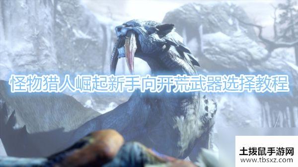 《怪物猎人崛起》新手向开荒武器怎么选择