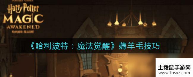 《哈利波特：魔法觉醒》薅羊毛技巧