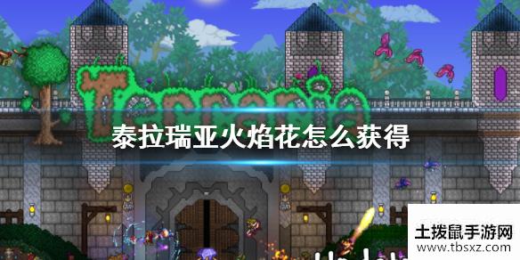 《泰拉瑞亚》火焰花怎么获得 火焰花获得方法介绍