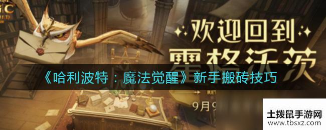 《哈利波特：魔法觉醒》新手搬砖技巧