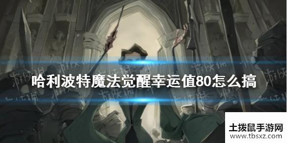 《哈利波特魔法觉醒》幸运值80怎么搞 幸运值80方法