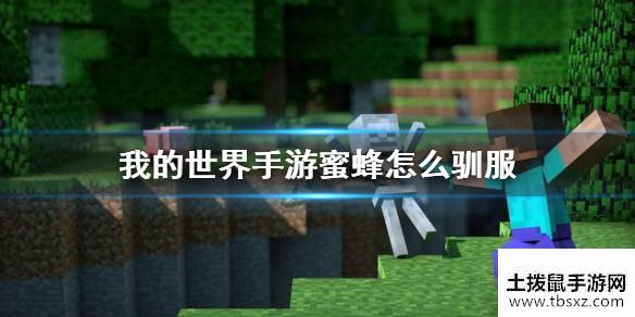 《我的世界手游》蜜蜂怎么驯服 蜜蜂驯服方法大放送