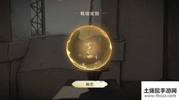 《哈利波特：魔法觉醒》冬青木盆栽位置分享