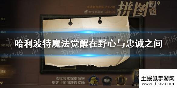 《哈利波特魔法觉醒》在野心与忠诚之间 拼图寻宝第二期第六天