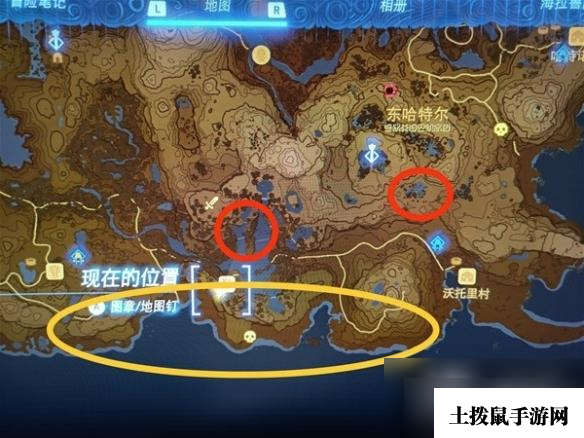 《塞尔达传说王国之泪》螃蟹与独角仙收集分享 螃蟹与独角仙位置在哪