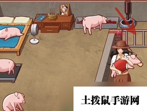 《超级达人》美梦猪圈通关攻略