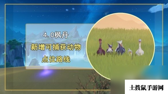 《原神》4.0新增捕获动物种类一览