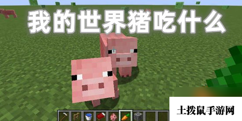 我的世界猪吃什么 我的世界怎么养猪