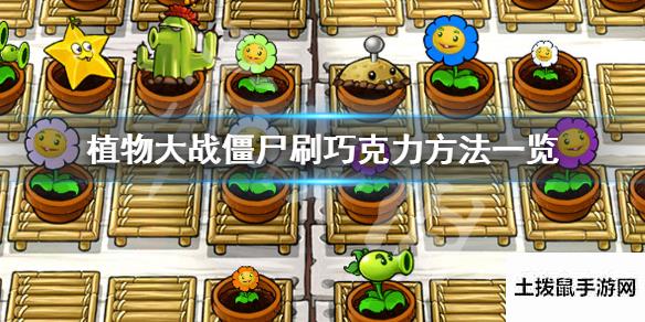 土拨鼠手游网