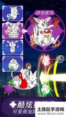 我骑着猫咪飞怎么地址一览