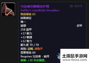 魔兽世界怀旧服污染者的蜥蜴皮护肩属性介绍游戏攻略