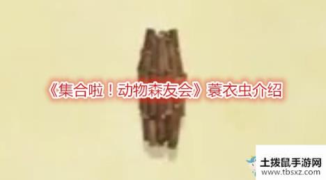 集合啦！动物森友会蓑衣虫介绍游戏攻略