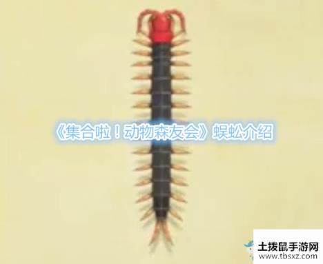 集合啦！动物森友会蜈蚣介绍游戏攻略