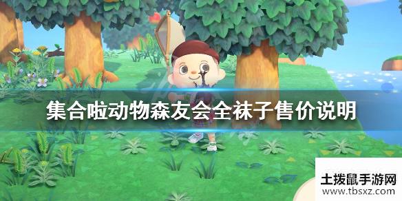 集合啦动物森友会袜子有哪些全袜子售价说明