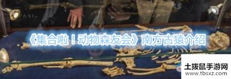 集合啦！动物森友会南方古猿介绍游戏攻略