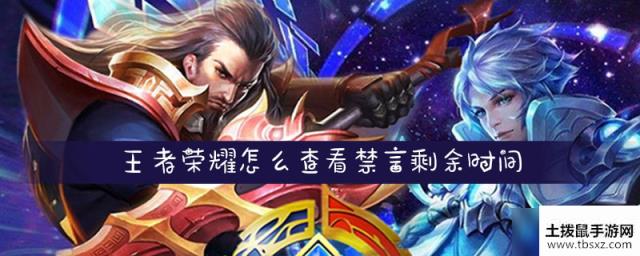 王者荣耀禁言剩余时间怎么查看禁言剩余时间查看教程