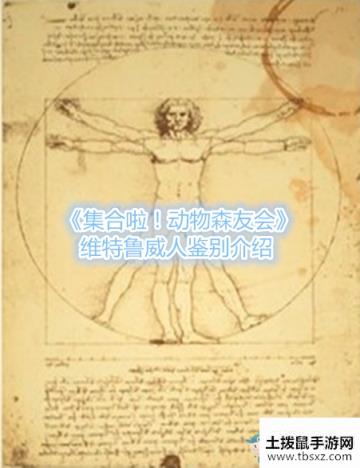 集合啦！动物森友会维特鲁威人鉴别介绍游戏攻略