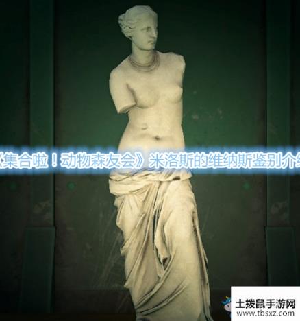 集合啦！动物森友会米洛斯的维纳斯鉴别介绍游戏攻略