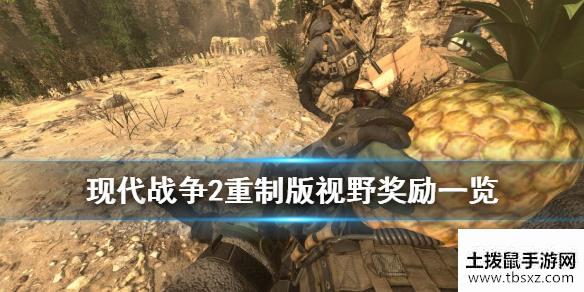 使命召唤6现代战争2重制版欢乐时光视野奖励一览