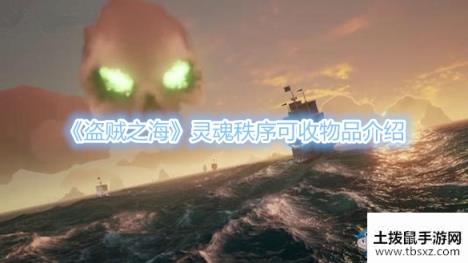 盗贼之海灵魂秩序可收物品介绍游戏攻略
