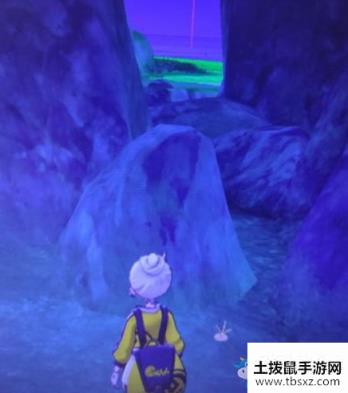 宝可梦剑/盾铠岛斗志洞窟海地鼠位置介绍游戏攻略