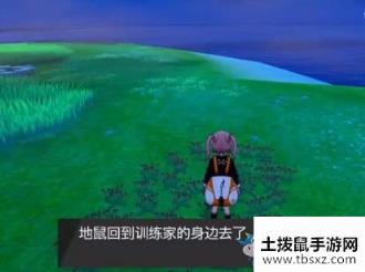 宝可梦剑/盾铠岛离岛地鼠位置介绍游戏攻略