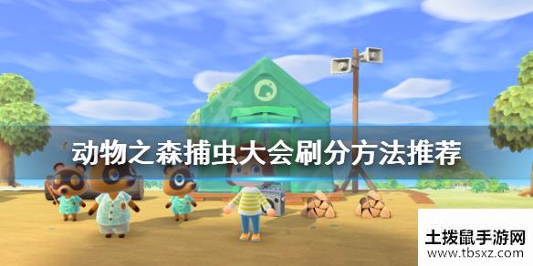 集合啦动物森友会捕虫大赛怎么拿高分捕虫大会刷分方法推荐
